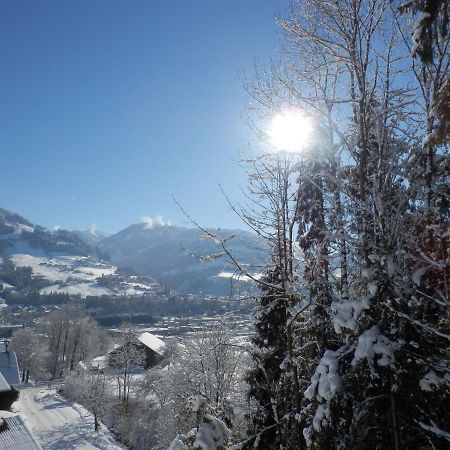 Apartament Gollehenhof Sankt Johann im Pongau Zewnętrze zdjęcie