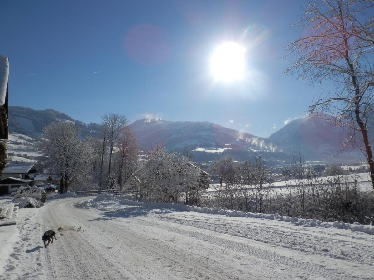 Apartament Gollehenhof Sankt Johann im Pongau Zewnętrze zdjęcie